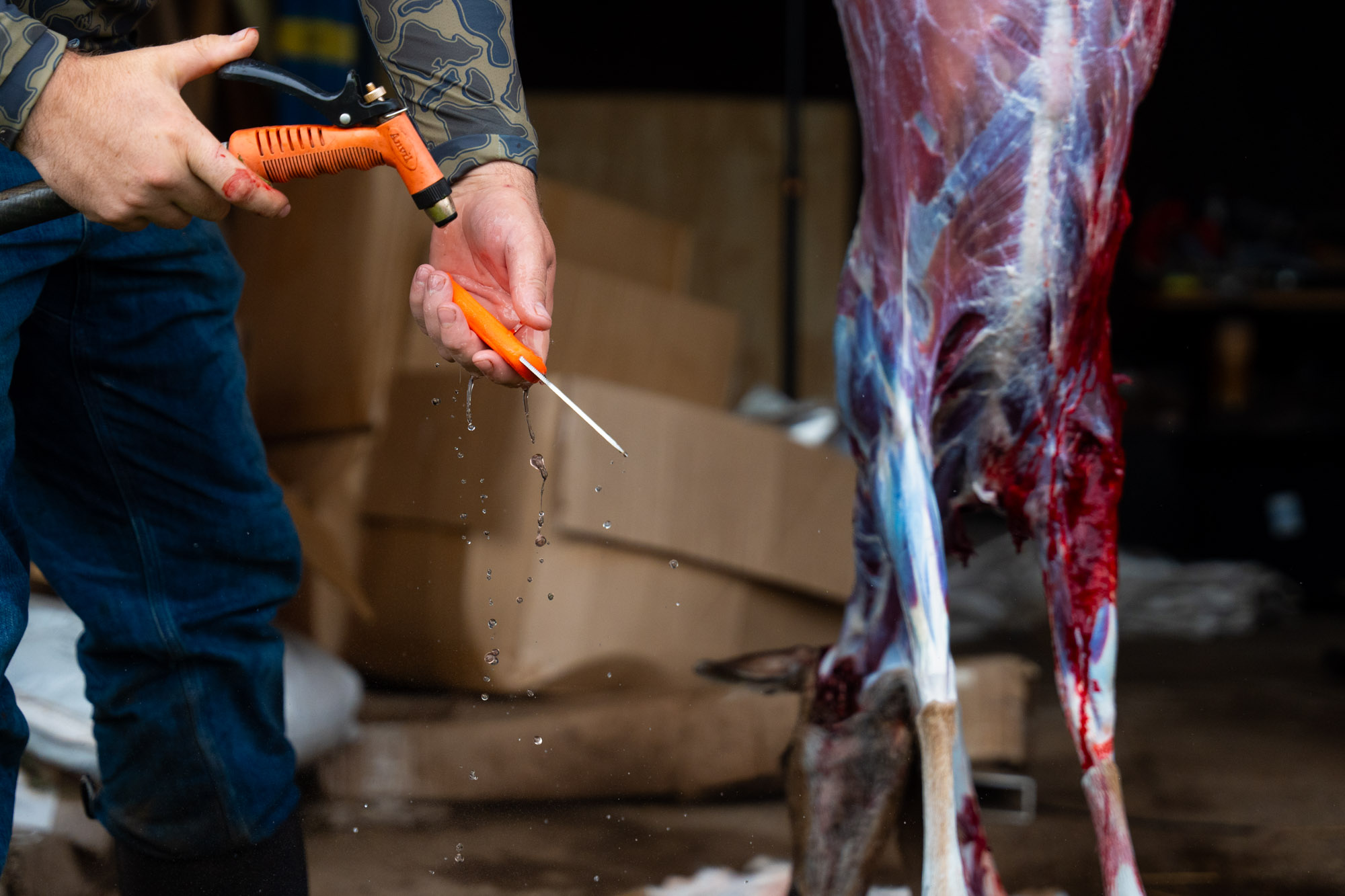 Daniel Jacintho processes a deer after a hunt.